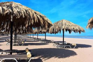 a row of straw umbrellas and chairs on a beach at Steigenberger Alcazar in Sharm El Sheikh
