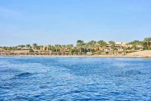 a body of water with a beach and palm trees at Steigenberger Coraya Beach - Adults Friendly 16 Years Plus in Coraya Bay