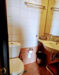a bathroom with a white toilet and a sink at Comfortable Apoikia house for 2 in Apoíkia +4 photos