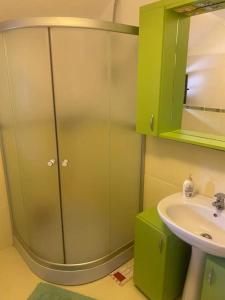 a bathroom with a green cabinet and a sink at Amazing villa in the mountains with Jacuzzi in Vistisoara