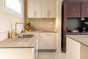 Köök või kööginurk majutusasutuses Physacap Suites & Villas
