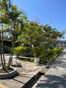 una fila de palmeras y bancos en un parque en Apartamento Itanhanhem en Itanhaém