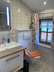 baño con lavabo y aseo y ventana en Schneiderhof Urlaub auf dem Bauernhof, en Bernau am Chiemsee