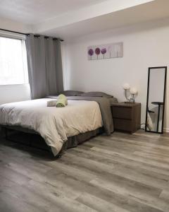 a bedroom with a large bed and a mirror at Cozy studio apartment - 240 in Montréal