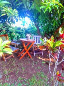 una mesa de picnic y 2 sillas en un jardín en come and enjoy singing birds, en Calibishie