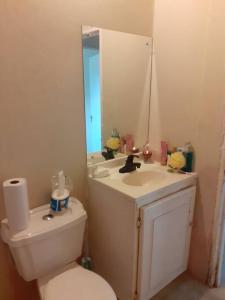 een badkamer met een toilet, een wastafel en een spiegel bij D'RESORT WAKE UP AND LIVE YAH in Spanish Town