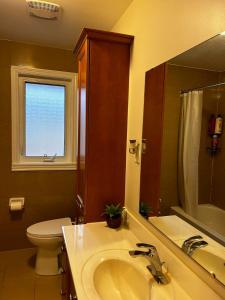 a bathroom with a sink and a toilet and a window at Premium home with Garden view, private parking in Toronto