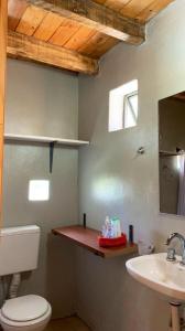a bathroom with a toilet and a sink at Fiordo B&B and Beer-Spa in Potrerillos