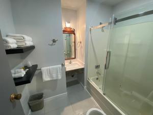 a bathroom with a shower and a toilet and a sink at Bavarian Inn in Bruce Mines