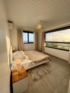 a bedroom with a bed and a large window at La villa O'rizon in Le Diamant