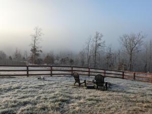 GREAT Little Guest Suite with Private Entry & Deck! Pet Friendly & 30 Mins to Nashville! v zimě