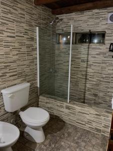 a bathroom with a toilet and a shower at PIEDRAS PRECIOSAS in Villa Gesell