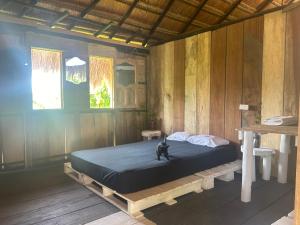 Una cama en una habitación de madera con un gato sentado en ella. en Punta Arena EcoHostal & EcoFit - Your Eco-Conscious Oasis, en Cartagena de Indias