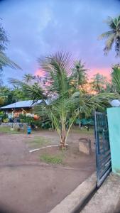 Lotus cool hotel and restaurant في Ibbagomuwa: نخلة في حديقة مع بوابة