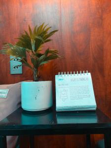 Galeriebild der Unterkunft Banana homestay( Chuối Homestay) in Hue