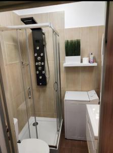 uma casa de banho com um chuveiro, um WC e um lavatório. em ViP Apartment Krakow na Cracóvia