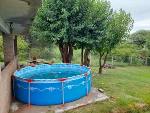 San Roque的住宿－Dpto del Sur，一座大蓝色的热水浴缸,位于一个树木繁茂的院子内