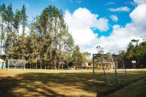a field with a soccer goal in a park at flowers in Medellín