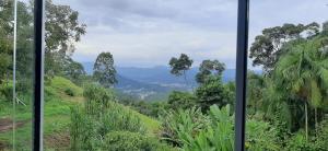 a view from a window in a forest at Sitio Hoffmann in Pomerode +3 photos