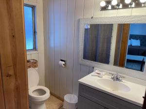 a bathroom with a toilet and a sink and a mirror at Snow Bear Lodge in Big Bear Lake