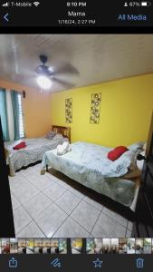 a bedroom with two beds and a yellow wall at Tropical Gavilla 