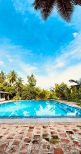 a blue swimming pool with palm trees in the background at Himawwa Residency Pinnawala in Rambukkana