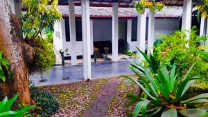 Rambukkana的住宿－Himawwa Residency Pinnawala，树和植物的房屋门廊