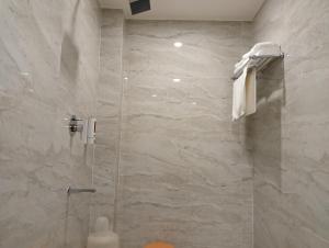 uma casa de banho com um chuveiro e uma porta de vidro em BK Castles Hotel em Jabalpur