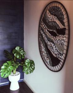 Φωτογραφία από το άλμπουμ του Hobart Avenue Apartment The Residence στο Sandy Bay