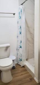 y baño con aseo y cortina de ducha. en One room in a renovated duplex house near FSU, en Tallahassee