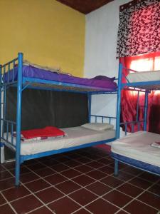 危地馬拉的住宿－Karim Hostel，一间设有两张双层床的客房