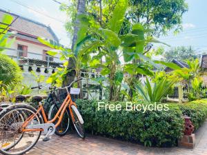 una bici arancione parcheggiata vicino ad alcune piante di Luang Prabang Residence & Travel a Luang Prabang
