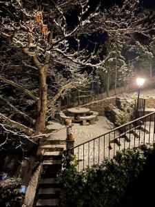 Estrella de nieve v zime