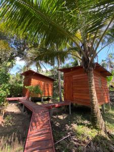 uma cabana de madeira com um banco ao lado de uma palmeira em Coco Cabins by Thush em Bentota
