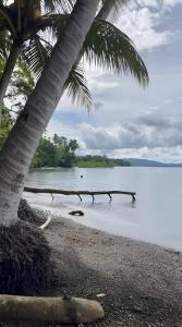 a beach with a palm tree and a body of water at Villa bonita in Puerto Jiménez