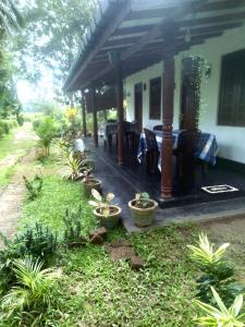 Sigiriya Hillside View Villa في سيجيريا: شرفة منزل بها نباتات الفخار