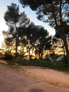 a group of trees on the side of a road at Maisonnette avec terrasse Marseille 9ème in Marseille