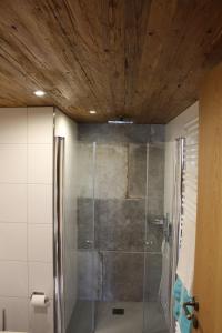 a shower with a glass door in a bathroom at Rommelehof in Gutach