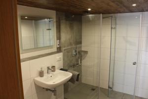 a bathroom with a sink and a glass shower at Rommelehof in Gutach