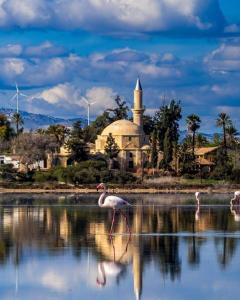 un oiseau debout dans l'eau devant une mosquée dans l'établissement STEFARIS "koutsou court 105", à Larnaka