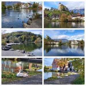 una serie de cuatro fotos de ciudades y un lago en Ahornzimmer, ruhige Lage, nähe Bahnhof und Zentrum, en Buchs