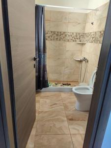a bathroom with a toilet and a shower at Varkaris Room 1 in Katarráktis