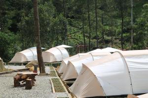 eine Gruppe von Zelten auf einem Feld mit Bäumen in der Unterkunft SoraCai Riverside Campsite in Palayangan