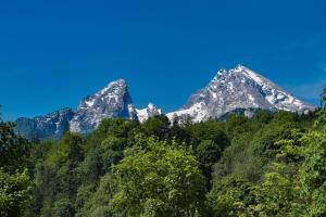 a pair of mountains in the middle of a forest at Watzmann Panorama in Berchtesgaden
