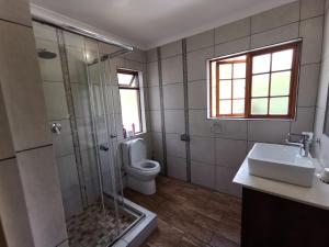 a bathroom with a shower and a toilet and a sink at 50 Galena Affordable Luxury in Roodepoort