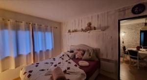 En eller flere senge i et værelse på Bosnien Old House