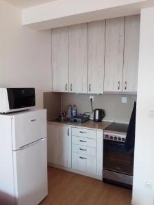 eine Küche mit weißen Schränken und einem weißen Kühlschrank in der Unterkunft Apartmán U řeky in Otrokovice