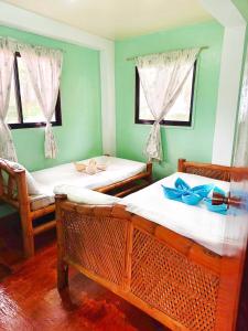 twee bedden in een kamer met groene muren en ramen bij Camotes Palanas Beach Stay in Himensulan