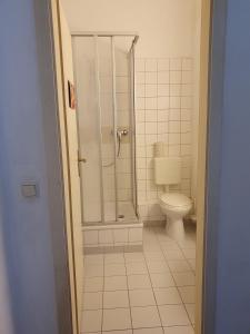 a bathroom with a shower and a toilet at Kulturschutzgebiet in Dresden