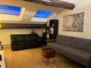sala de estar con sofá y tragaluces en Le Central Victoria VI, en Nancy